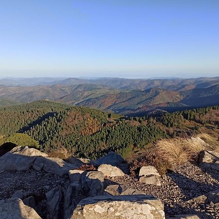 Gite Le Rocher Du Chateau De Retourtour Lamastre Esterno foto